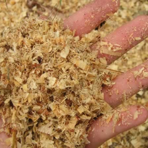 sawdust